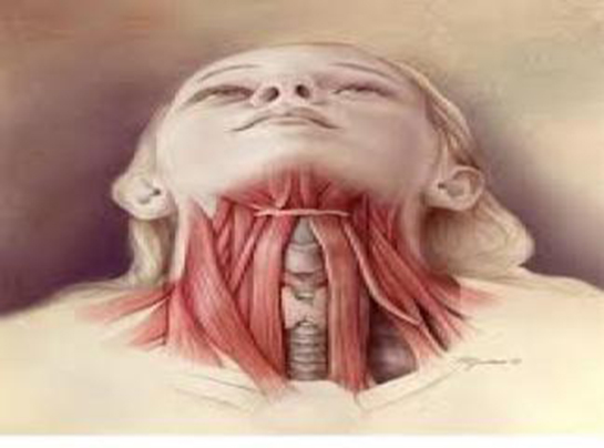 Reaktif Lenf Nodları